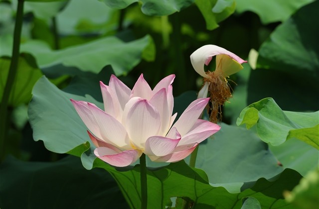 陌陌两个字的网名(精选642个) 陌陌两个字的网名(精选642个)