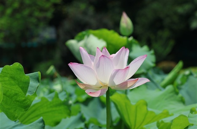 霸气超拽游戏女名