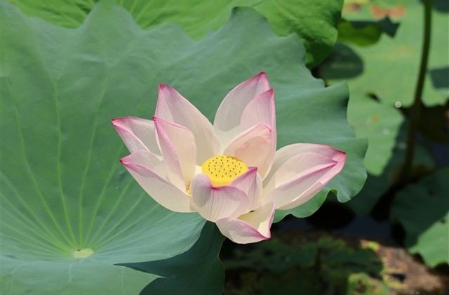 适合男生特别沙雕的网名(共430个)