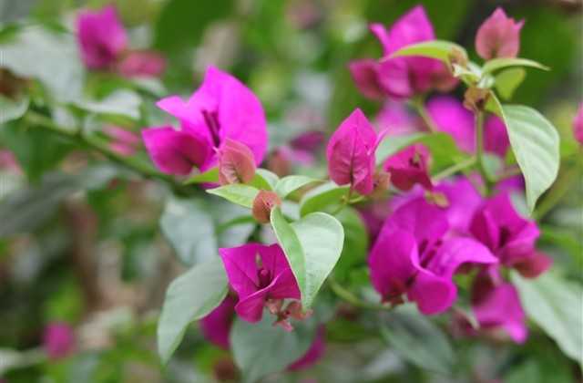 非主流开黑游戏名字(234个)