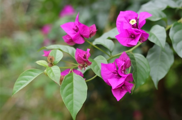 超级经典的QQ唯美网名(234个)