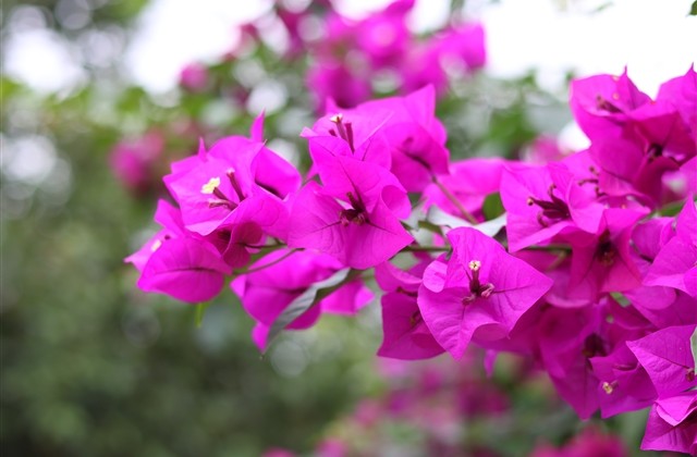 霸气lol网名(精选241个)