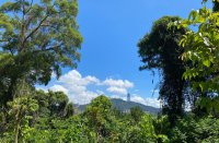 ​霸气很拽的网名(优选220个)