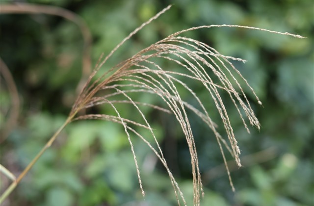 阳光灿烂好心情的网名(精选187个)