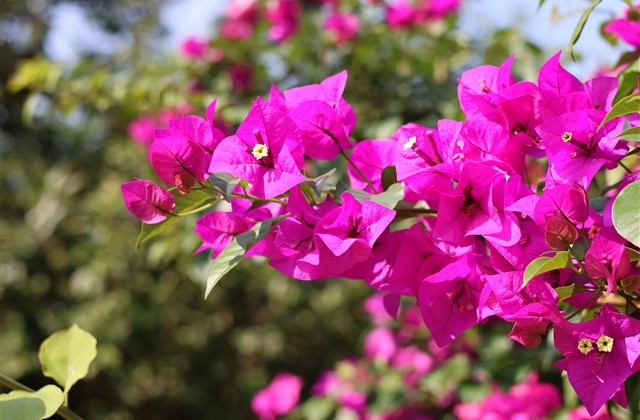 长一点的情侣网名(共75个)