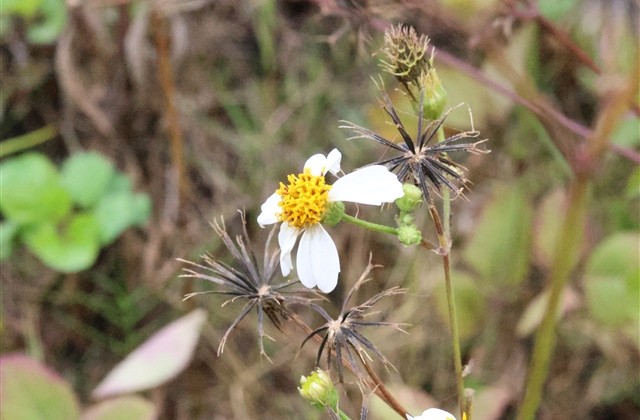 陌陌吸引人的昵称(191个)