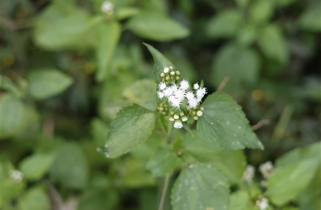 非主流昵称大全带符号