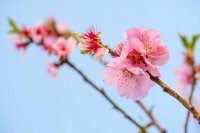 ​关于珍惜彼此的说说（精选82句）