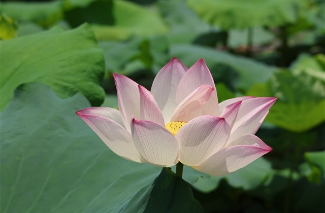 非常有创意逗比昵称(精选91个)