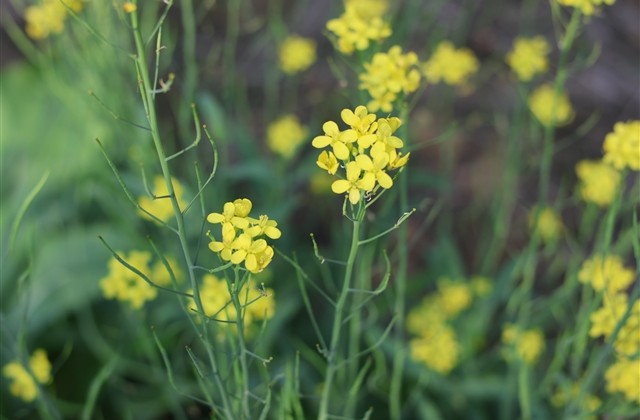 非主流游戏名字带符号(76个)