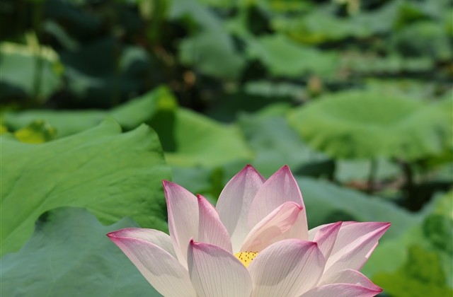 逍遥生带符号的名字(优选59个)