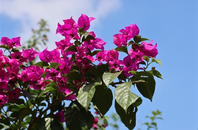 骚气钓鱼战队名字大全(56个)