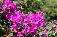 ​骚气钓鱼战队名字大全(56个)