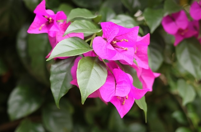 高端大气有内涵的游戏名字