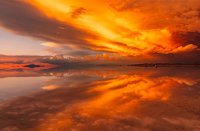 ​霸气的麻将高手昵称