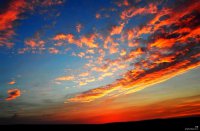 ​除夕秀恩爱的说说