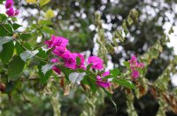 ​青少年的网名男 男生干净简约昵称网名(精选36个)