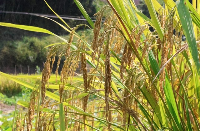 闺蜜群聊名称三人沙雕