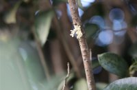 ​高端男士微信名字大全