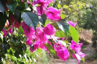 ​遗憾错过的网名 遗憾意难平的网名