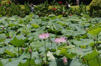 ​无情趣的情侣网名(精选200个)