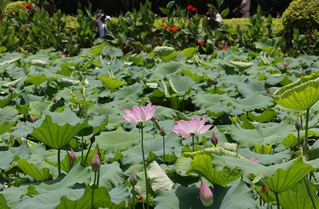 无情趣的情侣网名(精选200个)