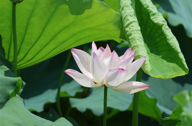 很长很长的空间网名(精选241个)