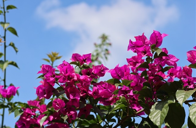 qq女生网名大全(408个)