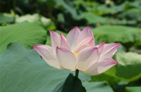 ​荒野行动游戏名字大全(精选392个)