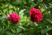 ​异性朋友情感语录经典（精选3篇）