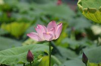 ​劲舞团超拽的名字(优选380个)