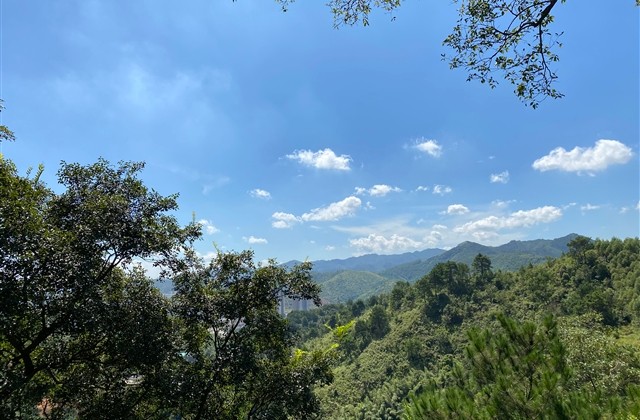 4个字有诗意的网名(精选382个)