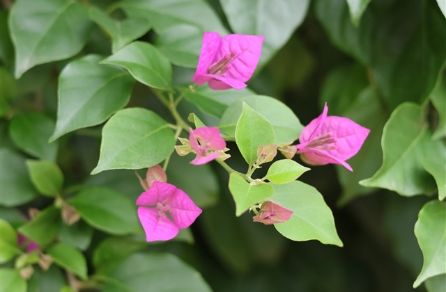 有特点的网名男生(383个)