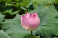 ​蓝颜知己的昵称(精选314个)