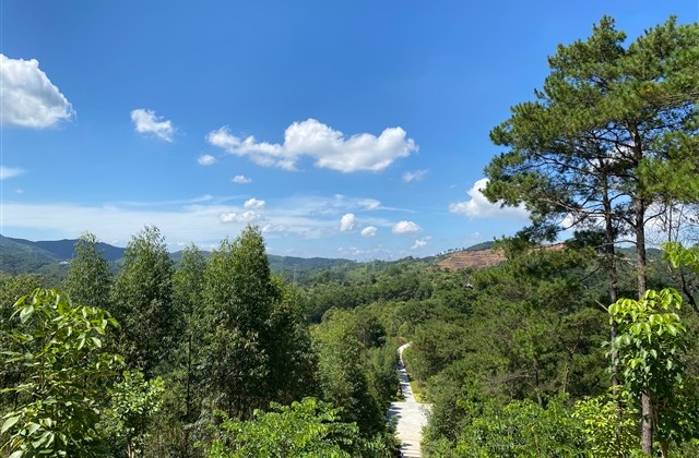 文静的女生网名(精选326个)