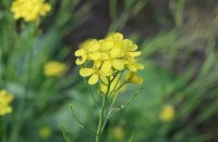 ​2023最火的情侣网名