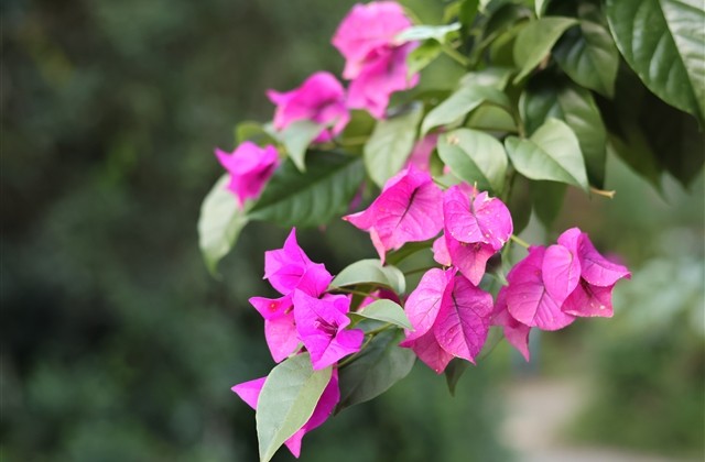 极无双孤独伤感游戏名字(精选320个)