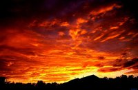 ​好听吸引人的网名女生