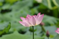 ​英雄联盟男生游戏名字(315个)