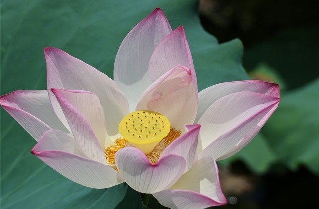 英雄联盟男生游戏名字(315个) 英雄联盟男生游戏名字(315个)