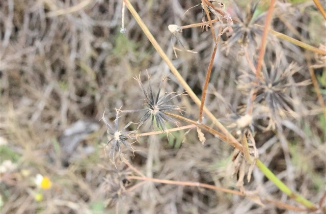 仙气十足的网名 好听的仙气网名(精选295个) 仙气十足的网名 好听的仙气网名(精选295个)