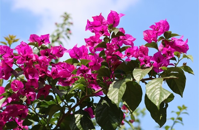 特别吸引人的网名男