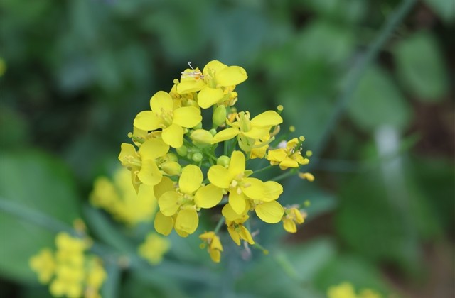 两字暖心情侣网名一对(精选240个) 两字暖心情侣网名一对(精选240个)