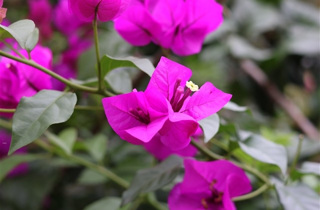 两字暖心情侣网名一对(精选240个) 两字暖心情侣网名一对(精选240个)