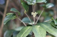 ​很短的个性网名(精选297个)