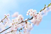 ​做好自己的句子的说说（精选66句）