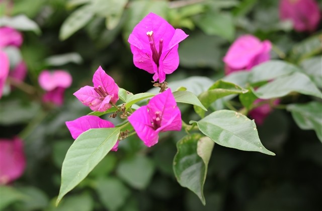 很成熟又现实的网名(优选288个)