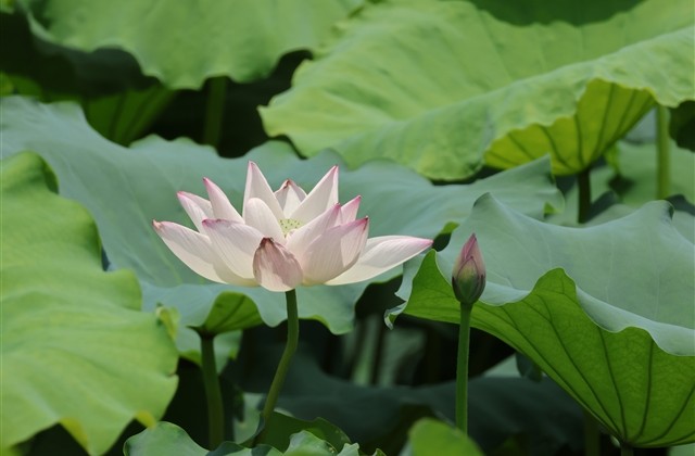 有趣不失可爱的网名(217个)