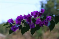 ​带点痞气的网名(精选222个)