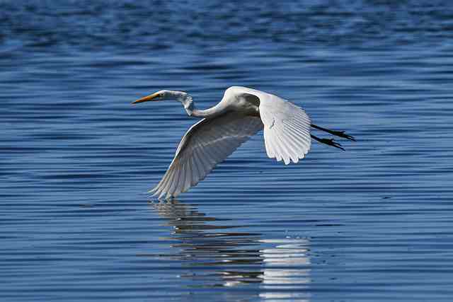 心情不好唯美说说感言（精选66句）